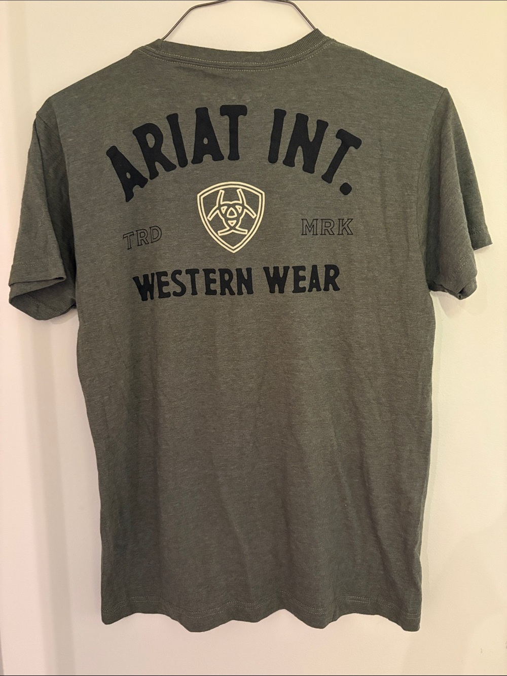 Ariat Men's Short Sleeve Tee in Olive Size M